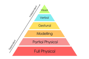 Prompting Hierarchy Graphic